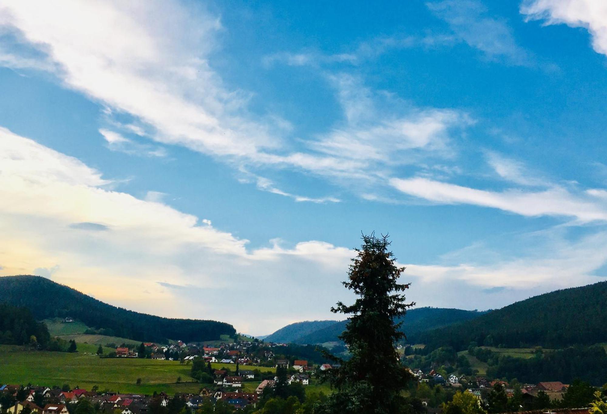 Goldener Hahn B&B Baiersbronn - Ferienwohnungen Mit Hotel Service Nahe Gartenschau Tal X Exteriör bild